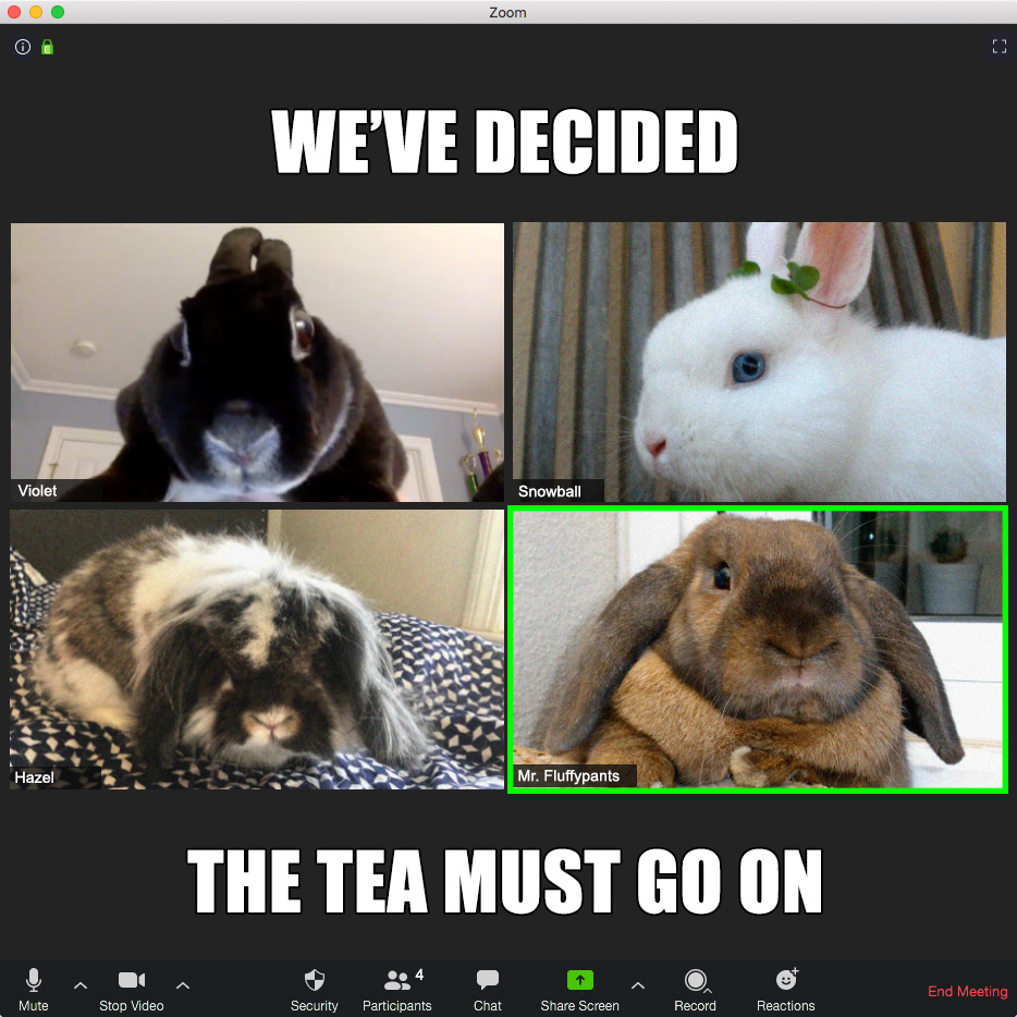 Advertisement for Tea and Buns, featuring a Zoom meeting of bunnies